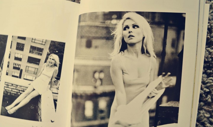 A FLORESTA ENCANTADA