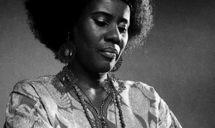 A FLORESTA ENCANTADA