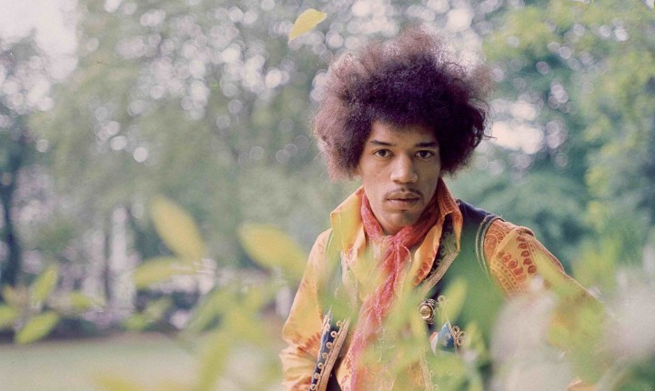 A FLORESTA ENCANTADA