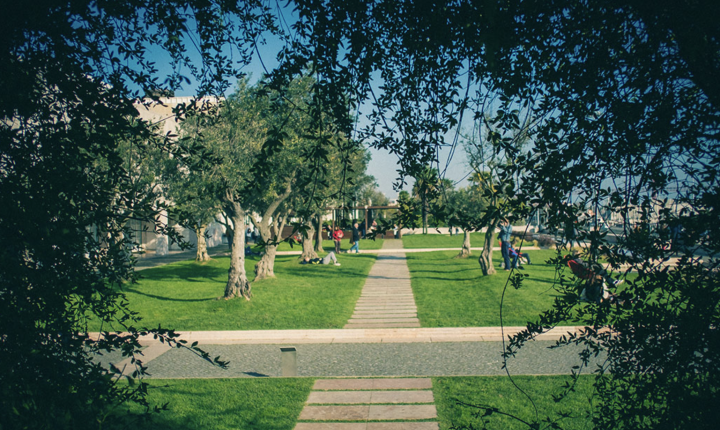 Arranca a programação de Verão do CCB