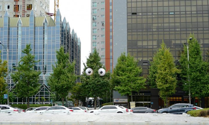 Em Lisboa, há árvores com olhos