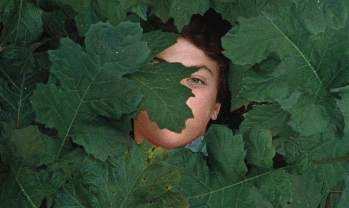 Catarina Vasconcelos premiada em San Sebastián