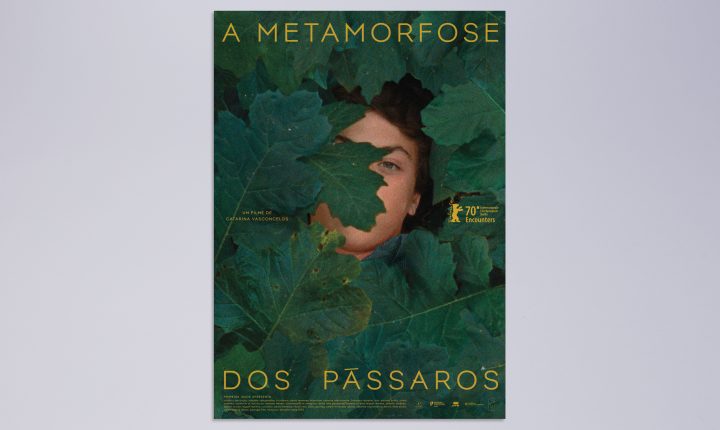 “A Metamorfose dos Pássaros” soma e segue