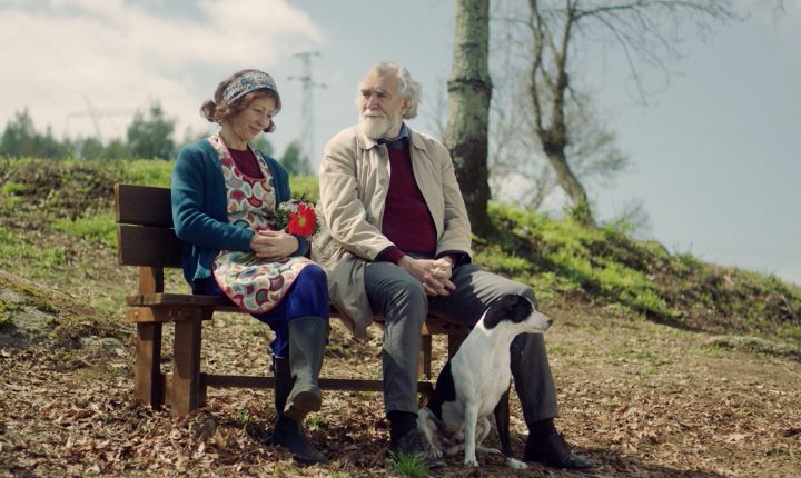 “Surdina” soma e segue