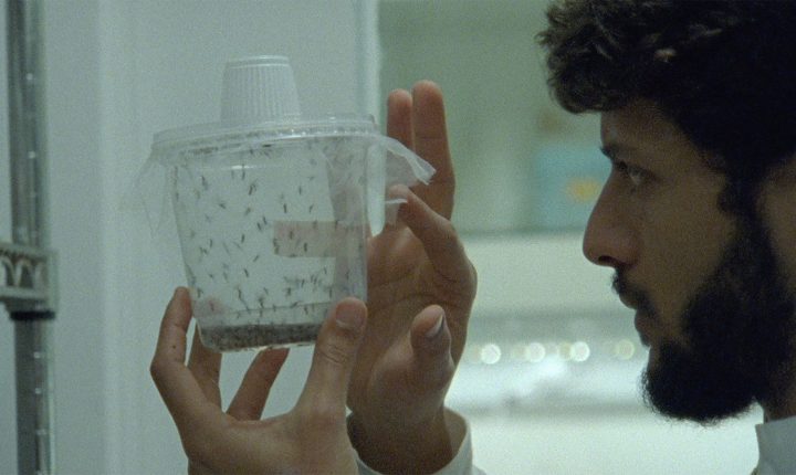 “A Mordida” de Pedro Neves Marques ganha Coelho de Ouro