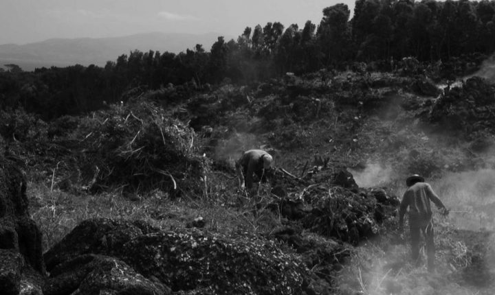 Coprodução portuguesa em Sundance