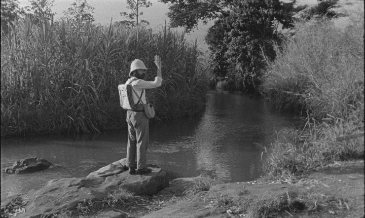 O Som e a Fúria disponibiliza filmes online