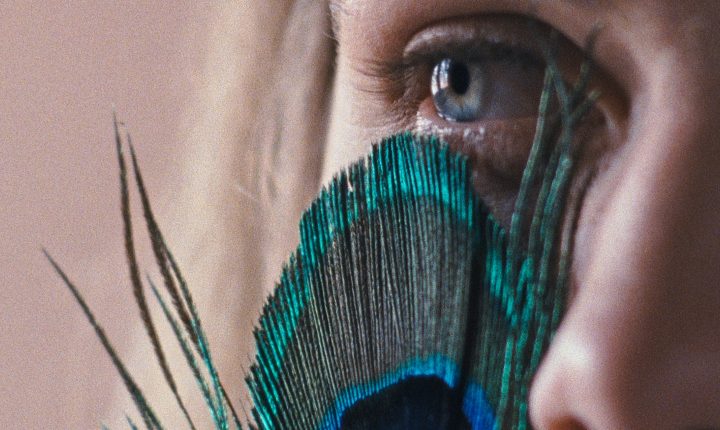 Mais prémios para “A Metamorfose dos Pássaros”