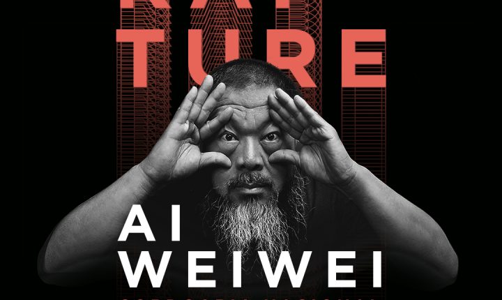 “Rapture” de Ai Weiwei na Cordoaria