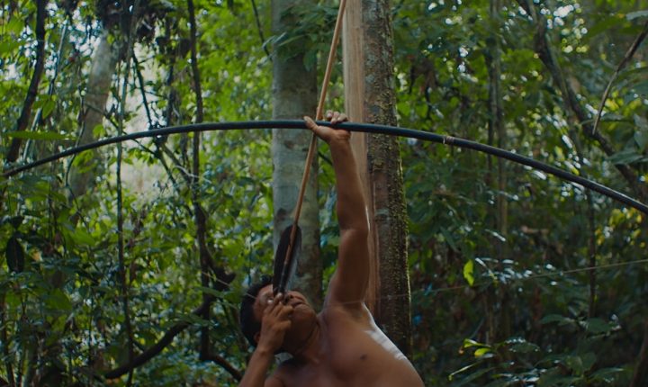 “Última Floresta” vence prémio do público da Berlinale