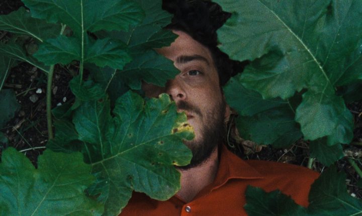 “A Metamorfose dos Pássaros” soma e segue