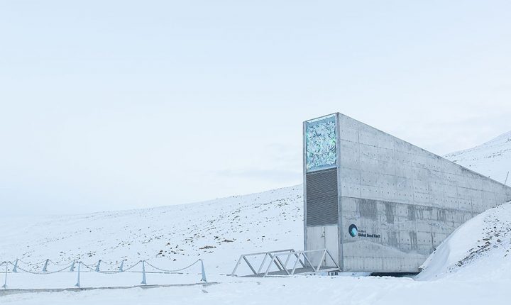 Global Music Vault para o apocalipse