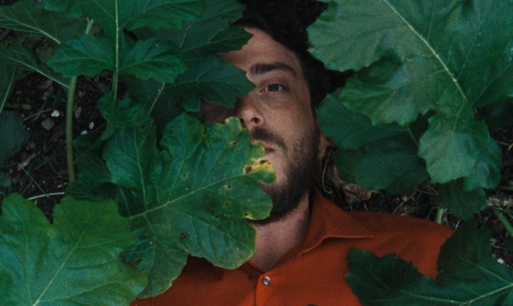 Estreia nas salas nacionais “A Metamorfose dos Pássaros”